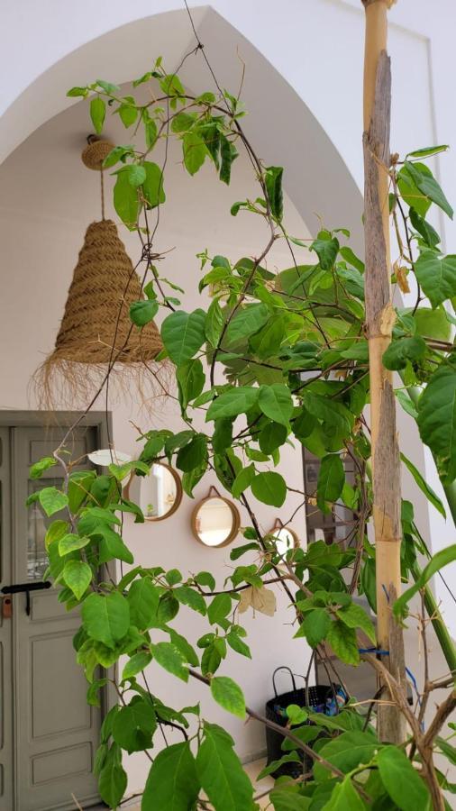 Riad Nohad Marrakech Marrakesh Eksteriør bilde